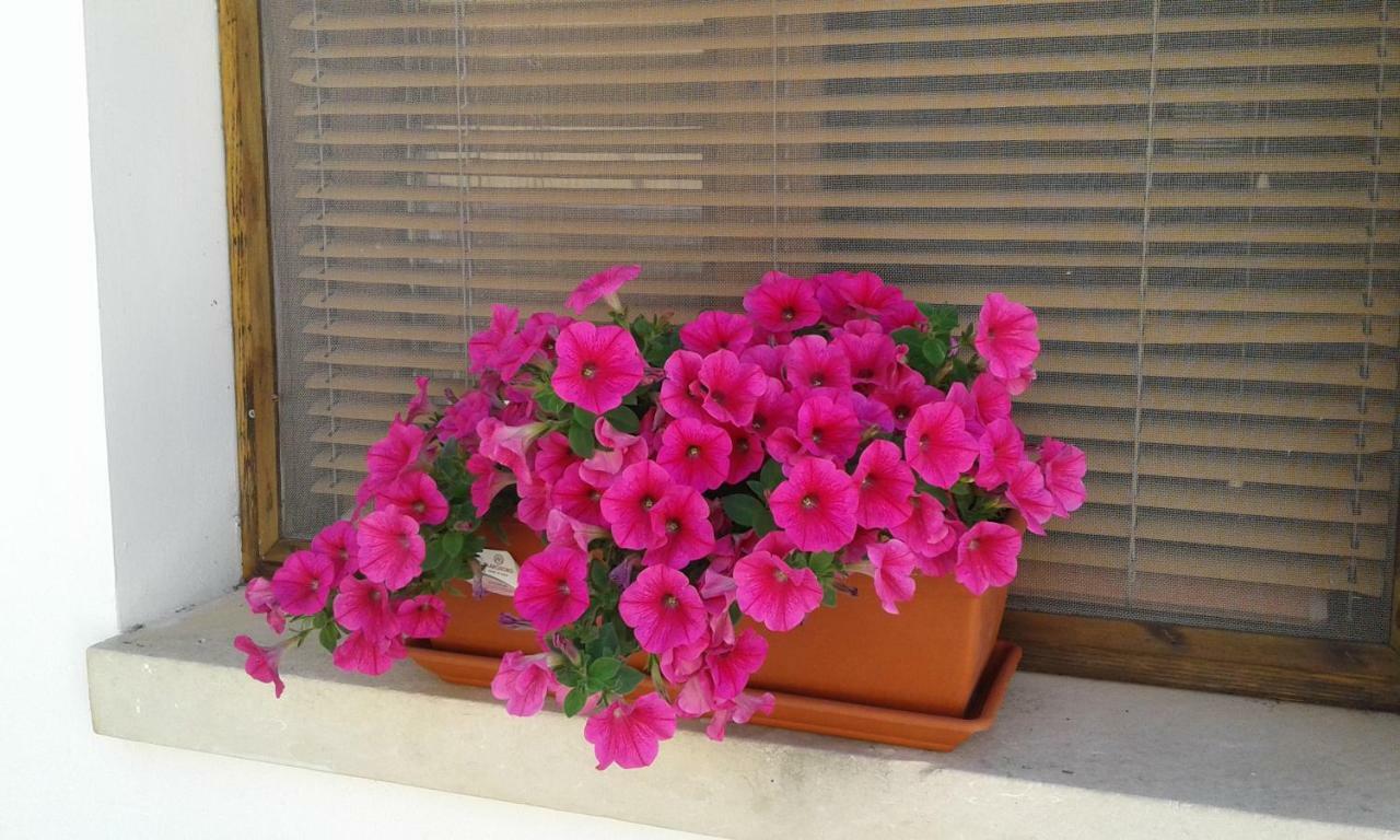 Casa Vacanza Augusto อุจจาโน ลาเคียซา ภายนอก รูปภาพ